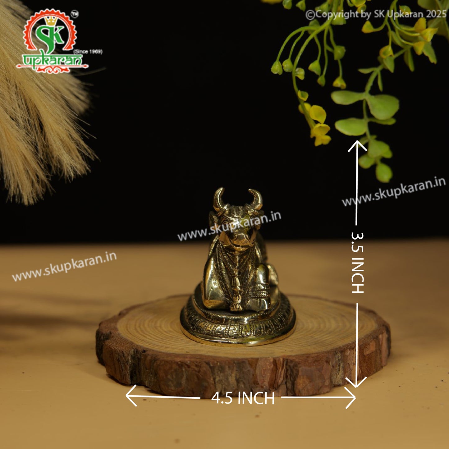 NANDI