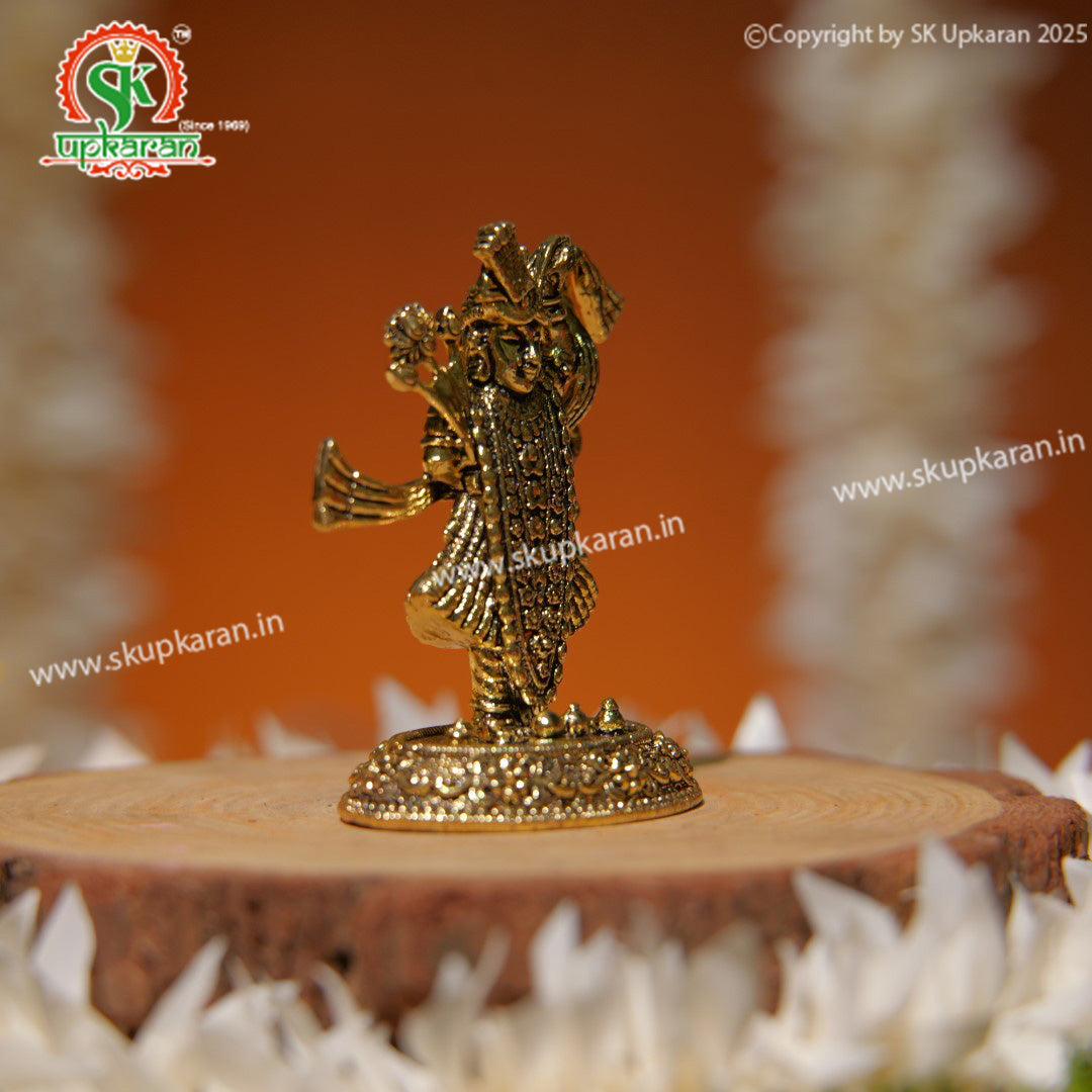 SHRINATHJI